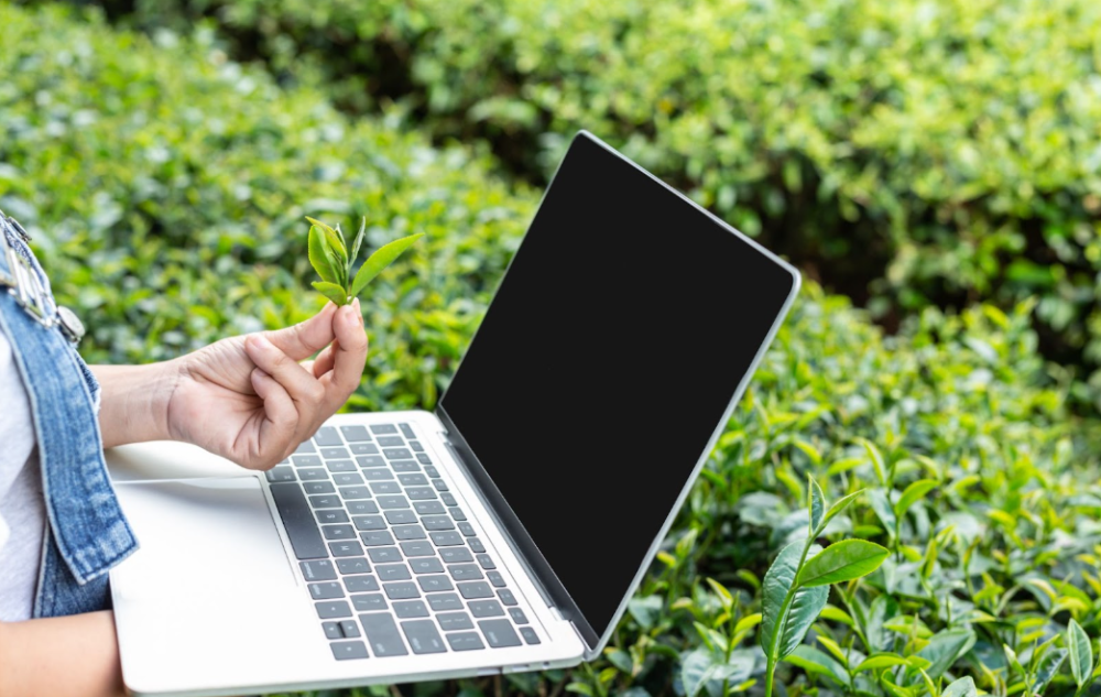 Green code : tout savoir sur cette pratique écoresponsable